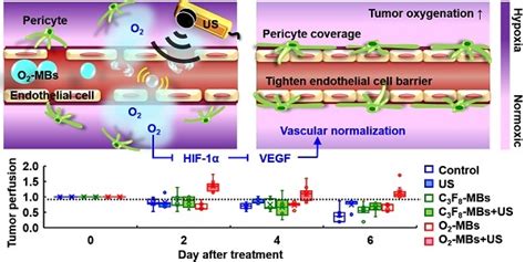 Normalization Of Tumor Vasculature By Oxygen Microbubbles With Ultrasound