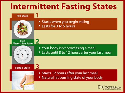 5 Healing Benefits Of Intermittent Fasting DrJockers