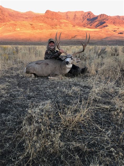 Steens Mountains Mule Deer Hunting Magazine