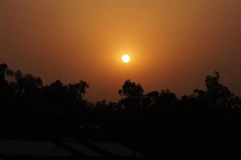 Premium Photo Amazing Shot Of The Sunset View With Tree