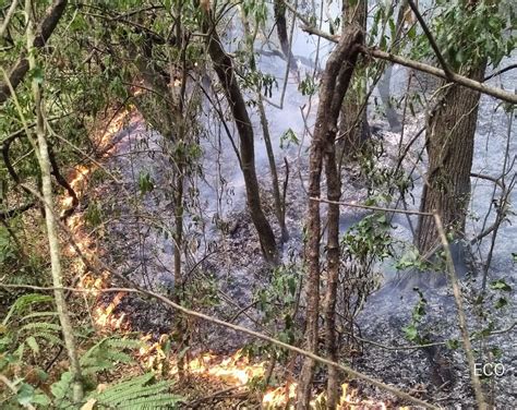 Queda Activo Un Solo Foco De Incendio En Las Yungas