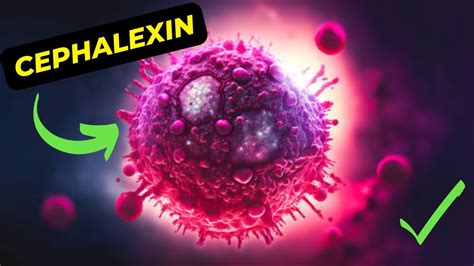 The Ultimate Guide To Cephalexin Uses Benefits And Side Effects Youtube