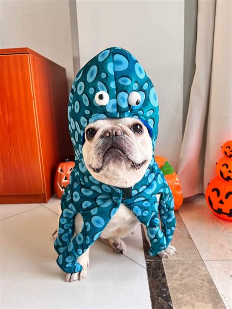 dog octopus costume – Frenchiely