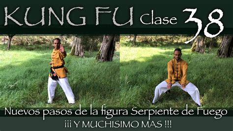 Nuevos Pasos De La Figura Serpiente De Fuego Estilos Que Practicamos Y Mas Clase 38 De Kung