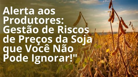 Alerta Aos Produtores Gest O De Riscos De Pre Os Da Soja O Que Voc