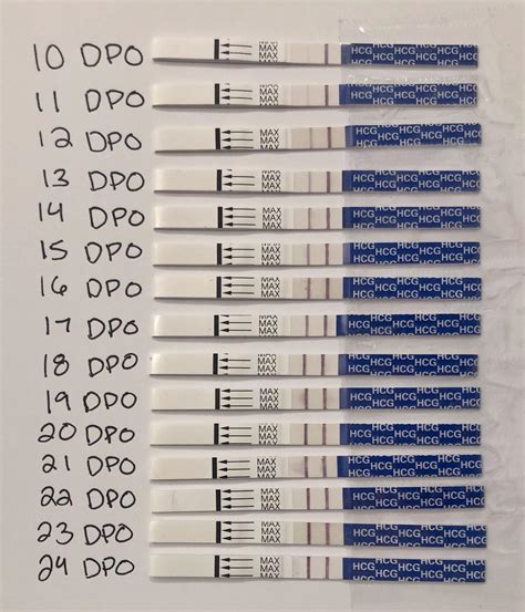 Dpo Dpo Pregmate Line Progression One Month Following Cp R