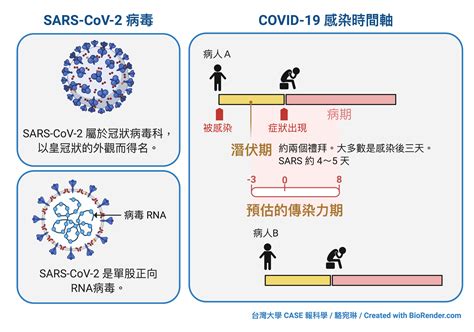 【關於 Covid 19 的這大半年】檢驗上的兩三事 Case 報科學