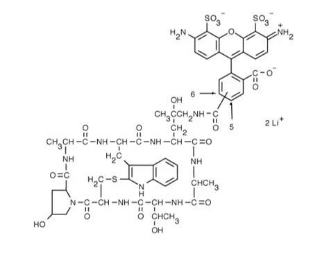 Phalloidin Af