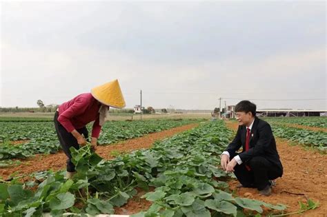 不负农时不负春，法治护耕为农忙澎湃号·政务澎湃新闻 The Paper