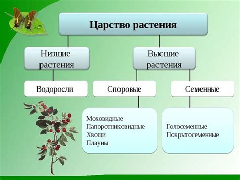 Растения часть живой природы пнш - фото