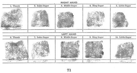 Fingerprint Classification Worksheets