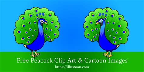 Free Peacock Clip Art Cartoon Imagesillustoon