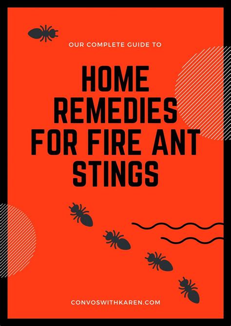 Home Remedies For Fire Ant Bites That Really Work Convos With Karen
