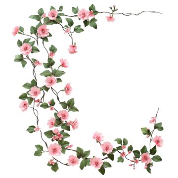 Flower Vine PNG, Vector, PSD, and Clipart With Transparent Background ...