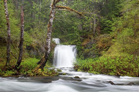 Wa Ford Pinchot National Forest Photograph By Jamie And Judy Wild