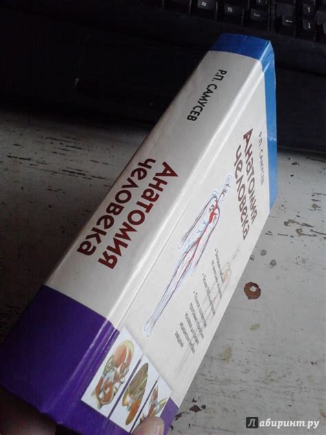Самусев Анатомия Человека Учебник - librarycycle