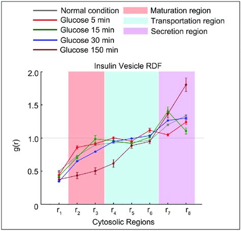 Insulin Vesicle Distribution And Functional Regions Related To The