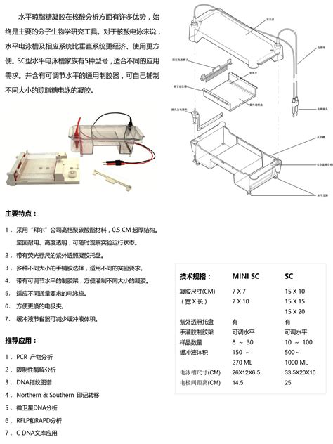 Sc型 浸没式水平电泳槽 北京凯元信瑞仪器有限公司