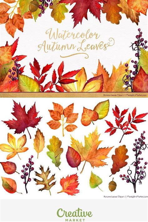 Watercolor Autumn Leaves Clipart An Illustration By Amanda Ilkov