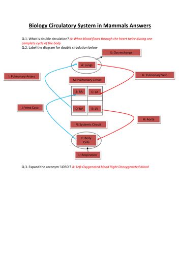 Ccea A Level Biology 2017 Specification As 2 Circulatory Systems In