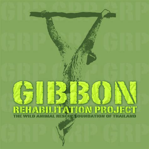 The Gibbon Rehabilitation Project Rescue Rehabilitate Release