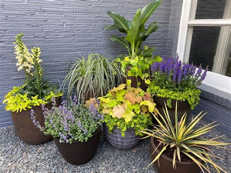 Gardening Ideas With Pots