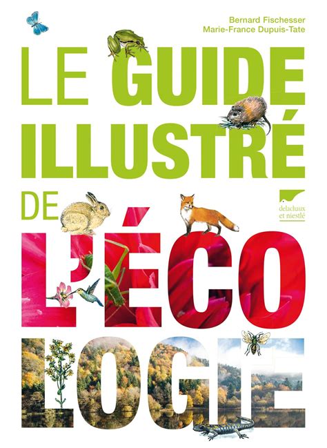 Le Guide Illustr De L Cologie Bernard Fischesser Delachaux Et