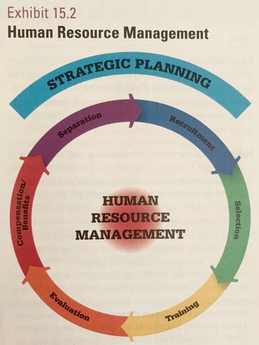 Busn10 Chapter 15 Human Resource Management Flashcards Quizlet