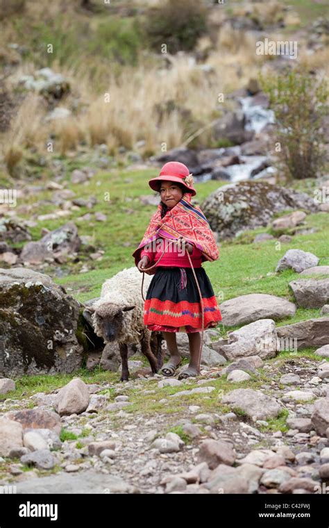 Indische Mädchen In Tracht Die Schafe Hüten Stockfotografie Alamy