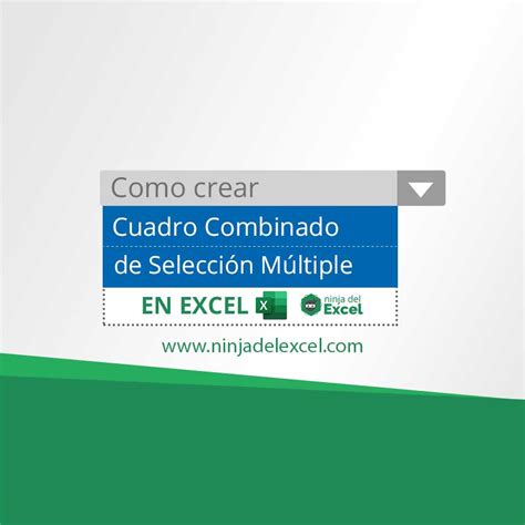 Cuadro Combinado De Selecci N M Ltiple En Excel Ninja Del Excel