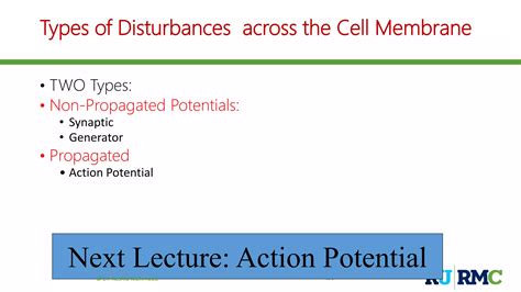 Membrane Potentials Resting Membrane Potential RMP PPT