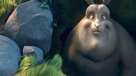 Content Gallery Big Buck Bunny Blender Studio