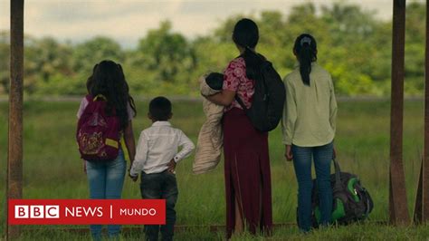 Los niños perdidos en Colombia Los detalles de cómo sobrevivieron