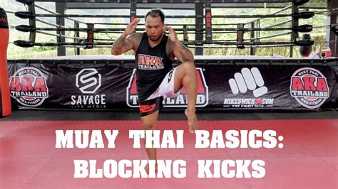 Muay Thai Basics Blocking Kicks Aka Techniques