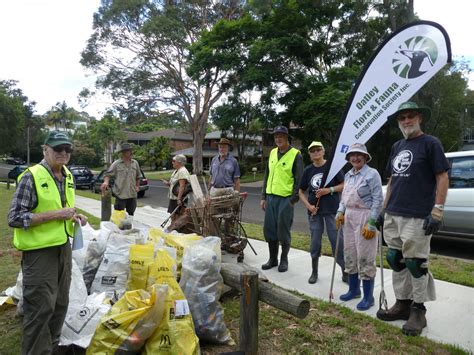 Clean Up Australia Day 2019 At Poulton Park Oatley Flora And Fauna