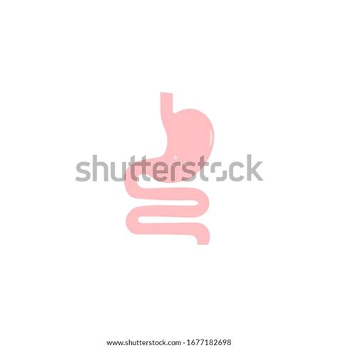 Gastrointestinal Tract Intestines Guts Stomach Digestive Stock Vector