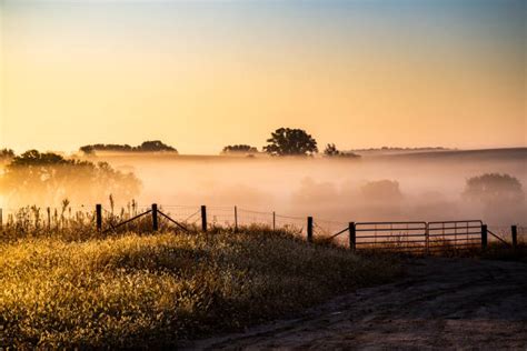 860 Heartland Photos Stock Photos Pictures And Royalty Free Images Istock