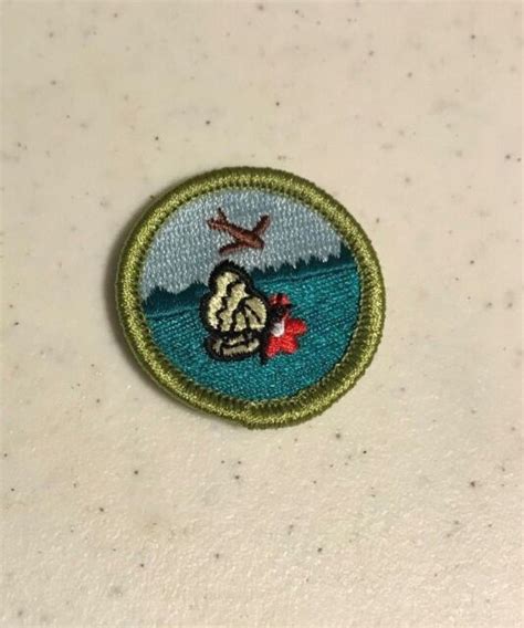 Bsa Boy Scouts Nature Merit Badge Ebay