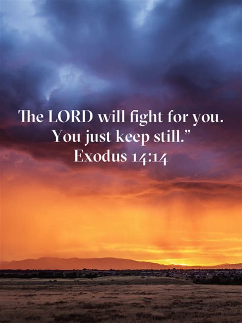 The Lord Will Fight For You You Just Keep Still Exodus 14 14