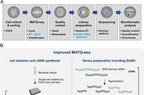 Improved RNA Sequencing Technologies Provide Deeper Insights Into Bacteria