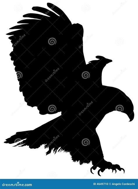 Golden Eagle In Flight Shadow Black Silhouette Stock Illustration