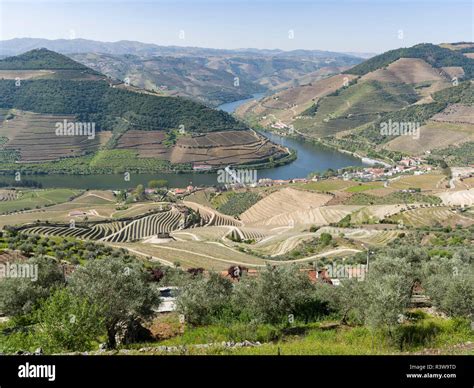 Pinhao y río Duero vista desde el Miradouro Casal de Loivos Es la