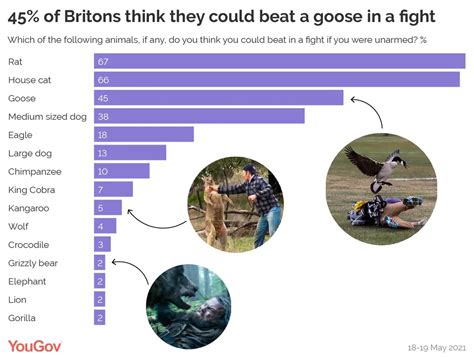 Which animals could Britons beat in a fight? | YouGov