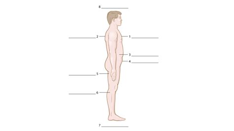 Medical Terminology Chapter Section Anatomical Position And