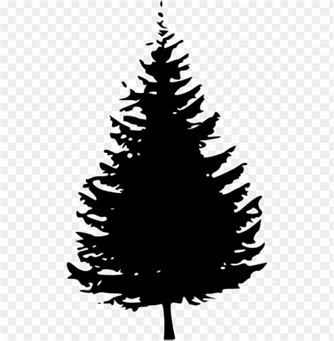 Black Pine Tree Clipart Evergreen Tree Silhouette Png Transparent