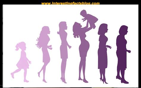 Stages Of A Womans Life Women S Life Stages Life Stages Women