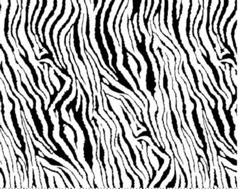 Zebra Fabric by the Yard, Zebra Print Fabric, Cat Fabric, Animal Fabric ...