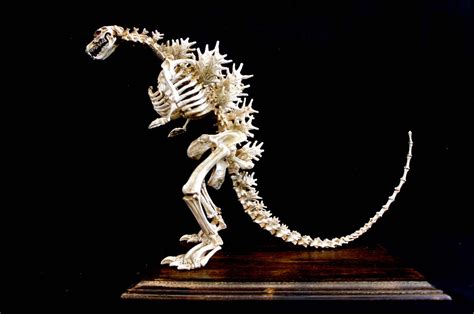 Godzilla Skeleton Solidart