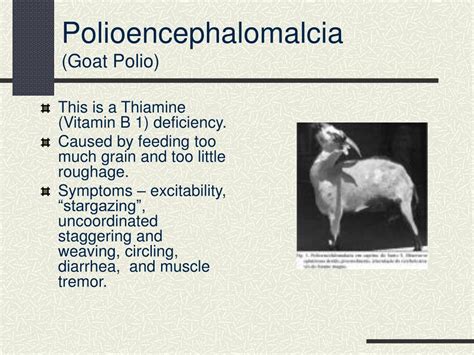 PPT - Common Goat Diseases Signs, Prevention, and Treatment PowerPoint ...