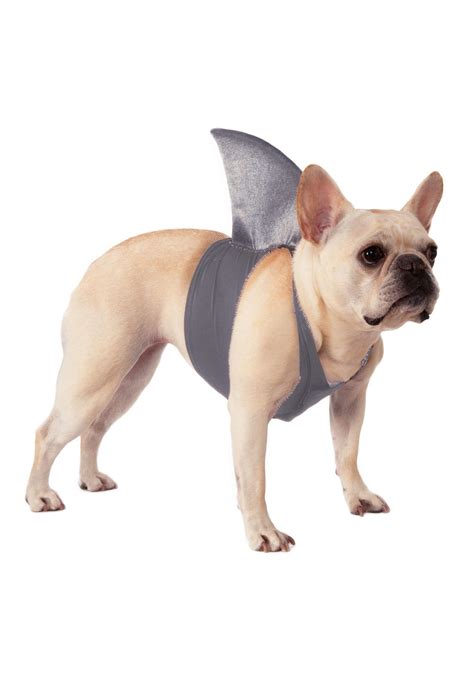 Rubie's Shark Fin Dog Costume Small/Medium for sale | Las Vegas, NV ...